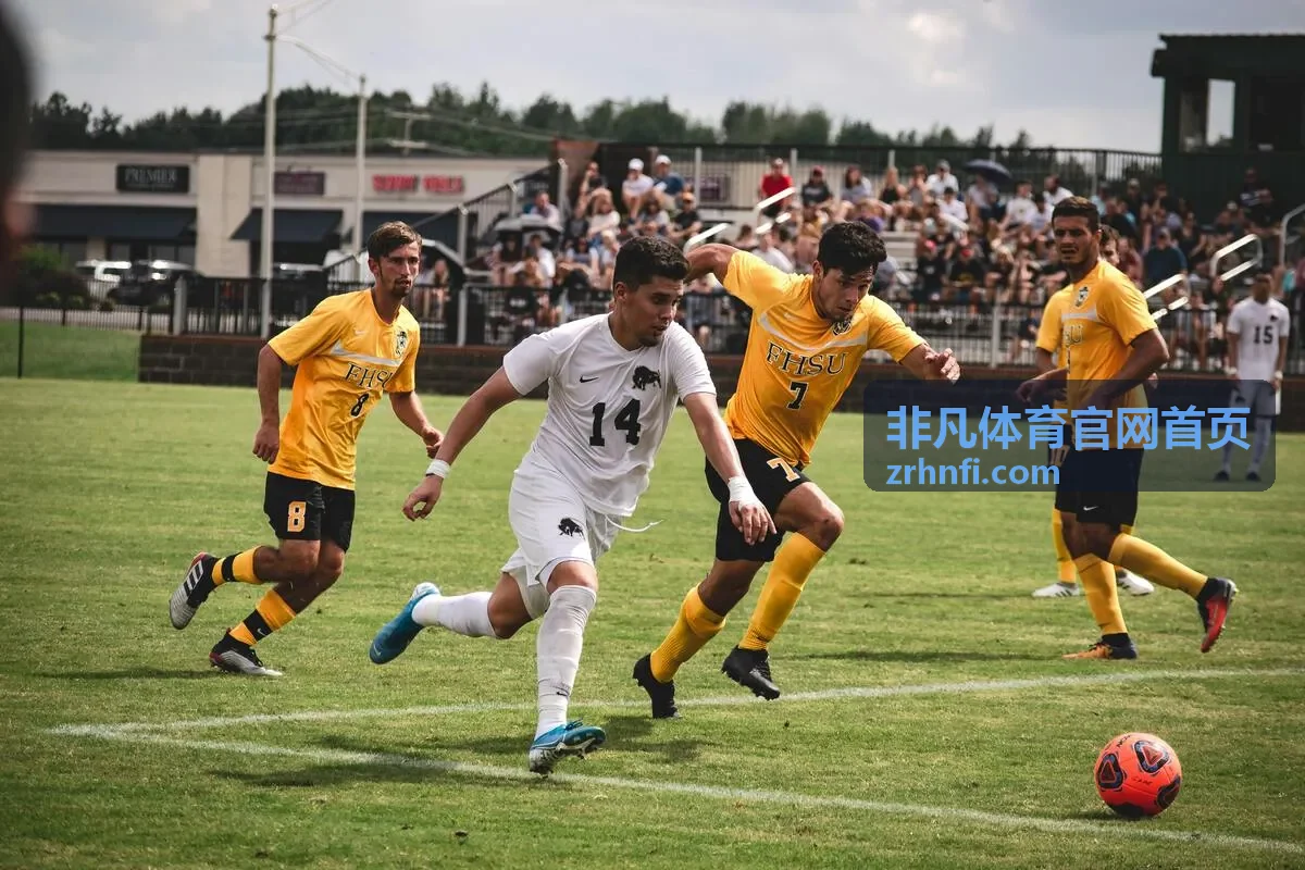 非凡体育运动生活频道清晨户外跑步场景